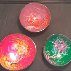 Bol coco peint motif fleurs japonais Sakura