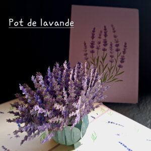 Carte pop up 3 D Pot de lavandes
