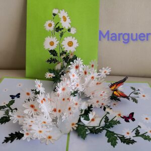 Carte pop up Marguerite
