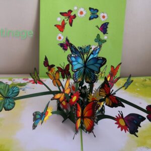 Carte pop up Butinage
