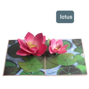Carte pop up Lotus