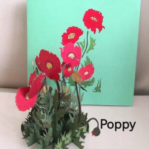 Carte pop up 3 D Poppy