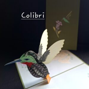Carte pop up 3D Colibri