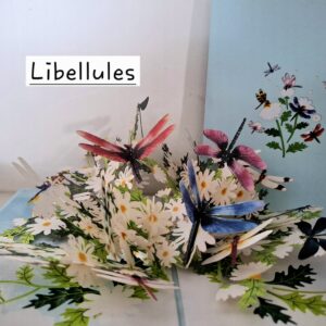 Carte pop up 3D Libellules